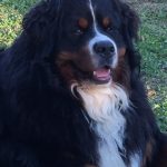 101804875_277353116790372_1121833135454027776_n