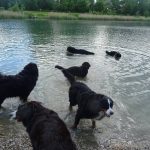 18491685_10155439894288442_8782441782430662001_o