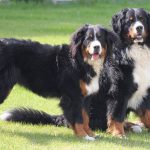 18676241441098_1149043289_n