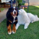 20240414T150239538.att.f8eb1508-ad2d-461f-b6f2-71808282f810