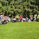 Plateau des Glières