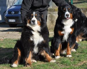 246563_10152165627737137_633100038_n