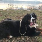 25552076_889392094551680_2111737167591542526_n