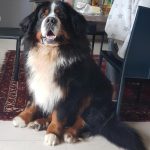 283947352_1072983256941302_7427850576078832772_n