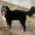 302594569_422415319872460_2953001471693766878_n