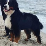 307383569_10220288342058434_100580980464334794_n