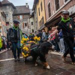 Retour des Alpages - Annecy