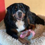 312747521_804679710741392_1025753904752187774_n