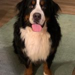 314653059_701070174528329_7928626162173607897_n