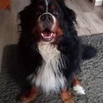 317733994_3290434841268366_2004466677963742792_n