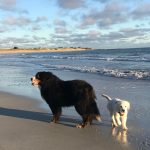 326544679_2133994366795532_3754342913834278093_n