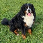 326753222_751206799669827_5474057289620967405_n