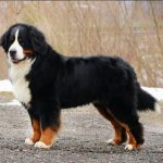 Oh je t'aime la maman