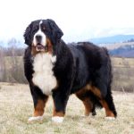 337247915_1705781829892304_864031129825503149_n