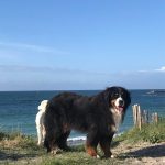 341262627_779722050055924_5218026442912878551_n