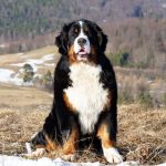 349205803_638934521433879_6356331690412367590_n