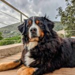 370317935_255098430520301_5640786797885660267_n