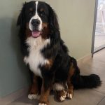 370815314_362649932893472_8307282436559581722_n