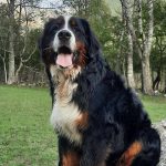 383073617_3734466606879147_1811099797879656841_n