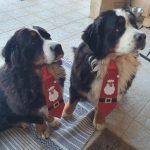 396647225_3297293500567726_4781589357644511999_n