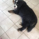 3norton647772_311947944321656387_n