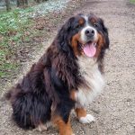 411392839_2335851756615220_1948564556596572381_n