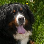 428771_635683676445243_418707012_n