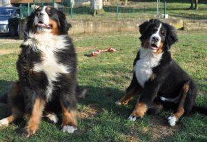 433_10152165655877137_233781095_n