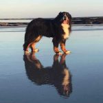 440267599_269955499541959_7850969797050794557_n