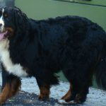 580437_3874140813673114_816216674_n