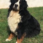 72443663_459458901332888_7335894490500038656_n