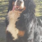 87455267_577868629606982_383617206044327936_n