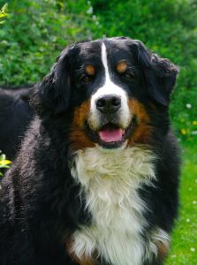 Edge7ansdemijolieeeee