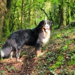 Usawan7_7128456310554374199_n