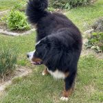 att.W2oi8XlHYmODqgXF00qqPuMaokVcu024xwjYPiRn3As