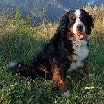 att.uU7cpV1tPzTgGJiW4me7m_q5K066q5GqiQ2WWnHT1Fk