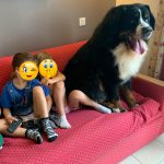 charlie60391749370384_n