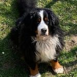 facebook_1658501801178_6956260738692105000