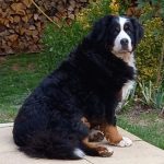 facebook_1664213920313_6980219102826502841