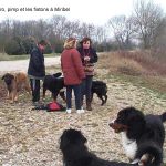 Première rencontre bernoise