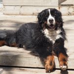 garougustave473249907594_1680700626133539821_o