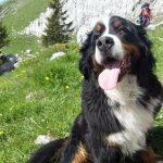 jenny634_6672896687123275904