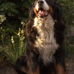 jira189_6673303645985708801