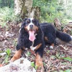 many9373688151_8956909304023349330_n