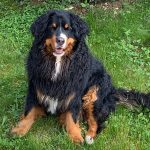 moka974033728_6186550362938277888_n