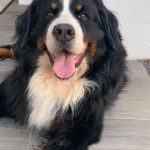 newton012459_3971291524789614786_n