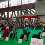 Amsterdam, Européenne