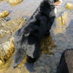 rivellajolie39292606_1041663193481633436_n