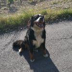 siska2ans646569096340_4371886234246607951_n