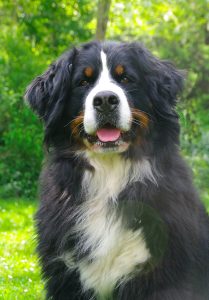 sixteenfaceportraitjolie